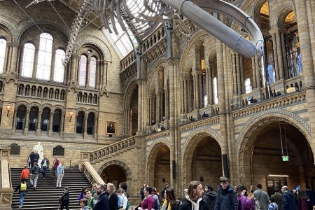 Natural History museum