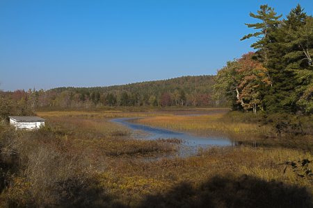 Een mooie marsh in Acadia