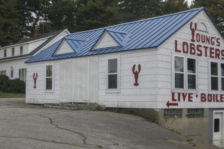 Overal lobster tentjes, voor de liefhebber dan