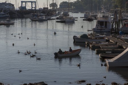 De haven in Camden, &#039;s morgens vroeg