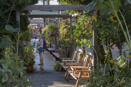 Een loopbrug in bloemen, Camden