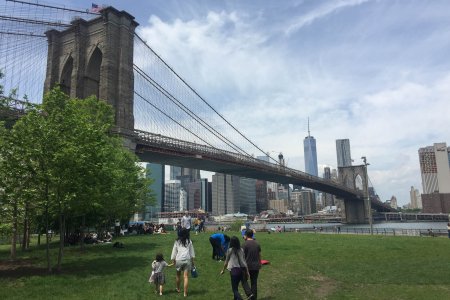 De Brooklyn bridge, met in de achtergrond Manhattan