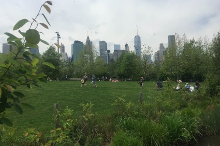 De skyline van Manhattan vanuit het Brooklyn bridge park