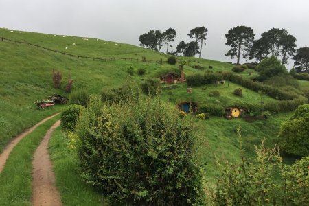 Overal in de heuvels zijn Hobbit holen te zien