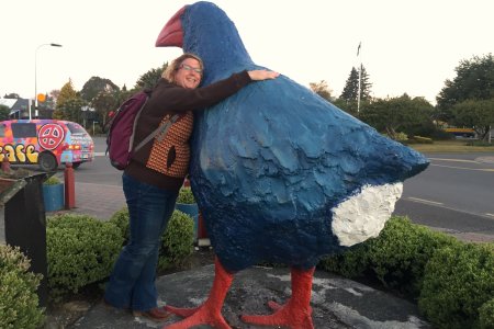 Syl is dol op de Pukeko in Te Anau