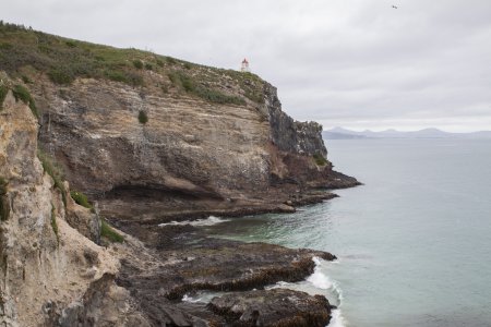 Otago schiereiland, albatrossen spotten