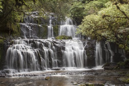 Purakaunui Falls, 20 meter hoog