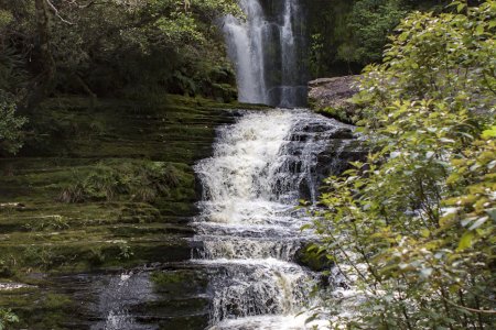 McLean Falls, 22 meter hoog