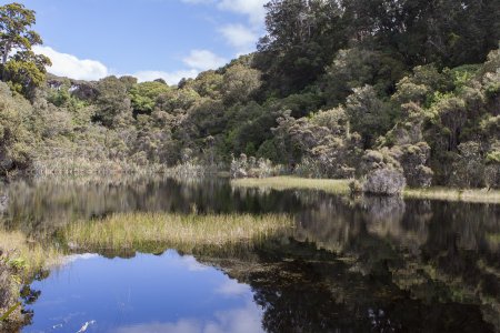 Lake Wilkie, een spiegelmeer