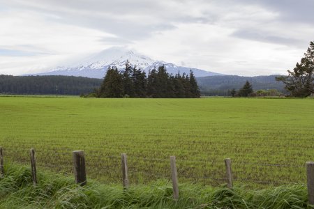 Tongariro National Park