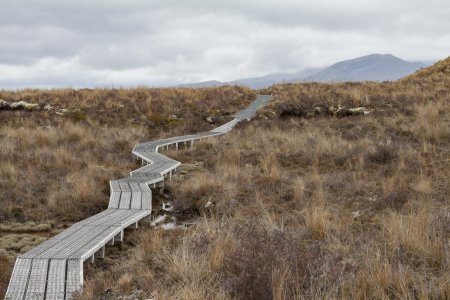 Bestaan er dan echt geen rechte wegen in NZ?