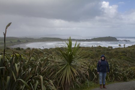 Op zoek naar de zeehonden in de regen