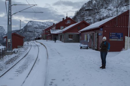 Myrdal op 866 meter hoogte