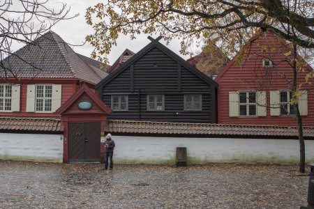 De houten gebouwen van het oudste gedeelte van Bergen, Bryggen