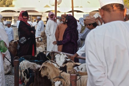 De geitenmarkt van Nizwa