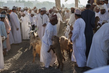 De geitenmarkt van Nizwa