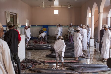 Verse vis op de vis souq van Nizwa