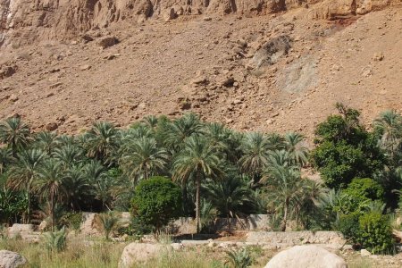 Wadi Tiwi