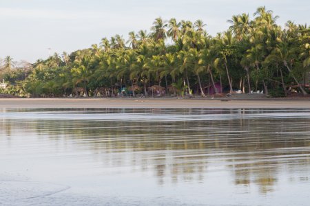 Palmbomen en cabanas op het strand