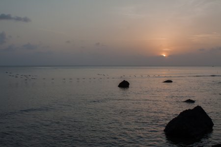 Panama 2014