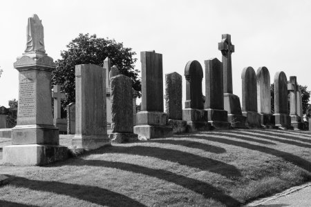 The Graveyard