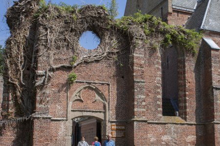 Overgroeing op de ruïne kerk van Bergen