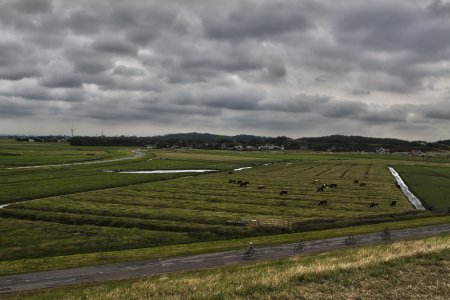 De Polder rond Hargen en Groet