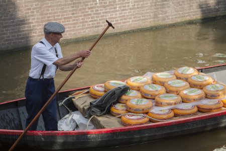 In de grachten van Alkmaar vaart een mannetje met z&#039;n kazen