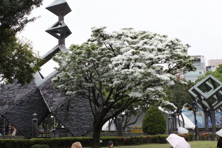 Monument voor de gevallenen, Peace park