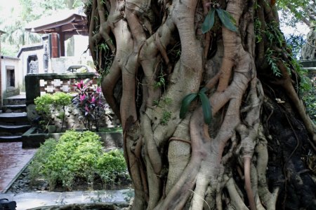 Lin Family Mansion, Taipei