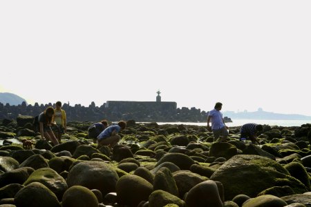 Locals op zoek naar krabbetjes en zeesterren