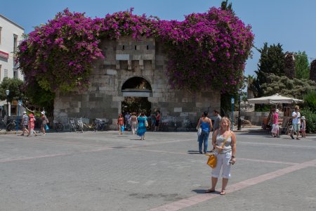 Oude vol gegroeide stadsmuur in Kos