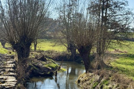 Riviertje de Geul in Epen