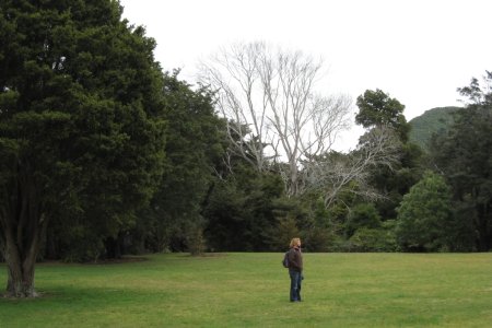 Isengard gardens