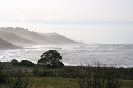 Ruwe zee