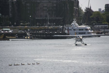 Vliegtuigje bij de kade