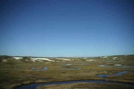 Meanderende rivier in Hayden Valley