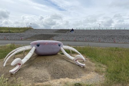 De dijk van Breskens