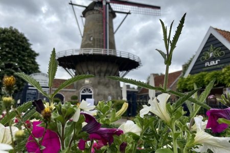 Molen De Brak in Sluis