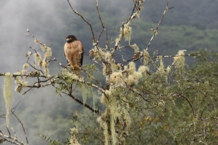 Samaipata en omgeving