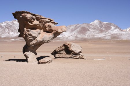 Arbol de Piedra, een stenen boom