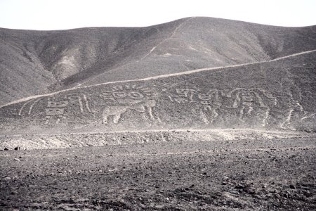De Palpa lijnen zijn ouder dan de Nasca lijnen, hier een gezin