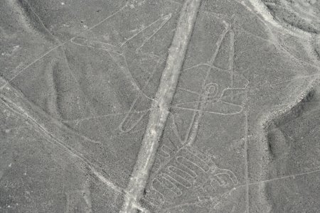 Nasca lijnen, de walvis