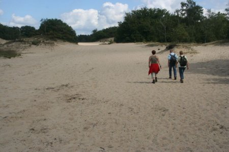 Biesbos 2007