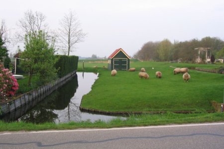 koninginnendag36