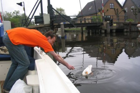 koninginnendag55