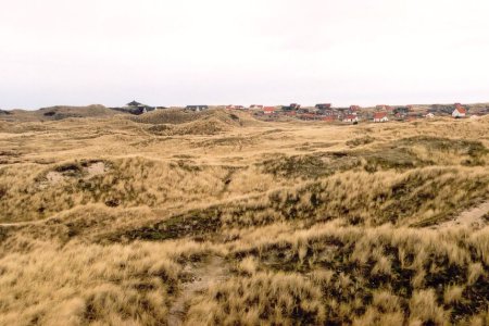 Schylge 2004