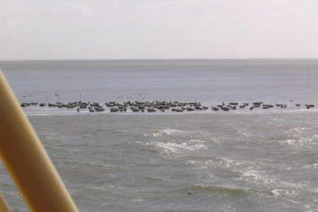 texel10