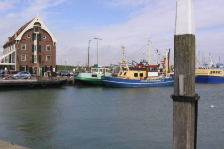 texel34