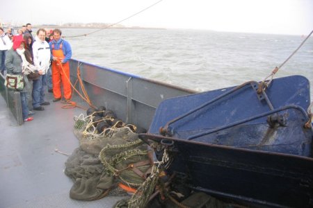 Texel 2006